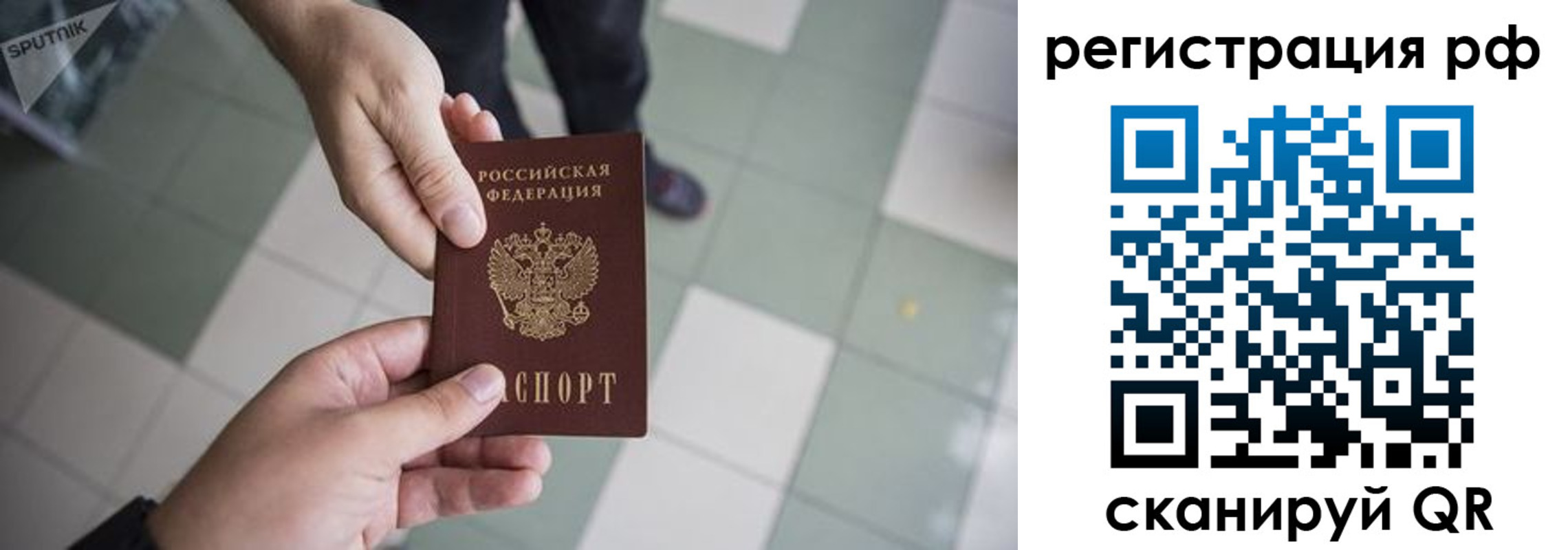 прописка гарантия в Геленджике